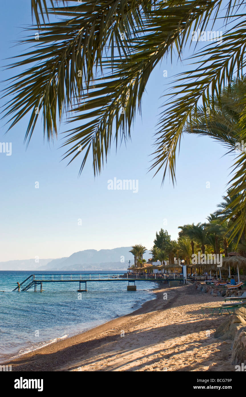 Vertikale Weitwinkel das Rote Meer und einen schönen Sandstrand, gesäumt von Palmen in der Sonne Stockfoto