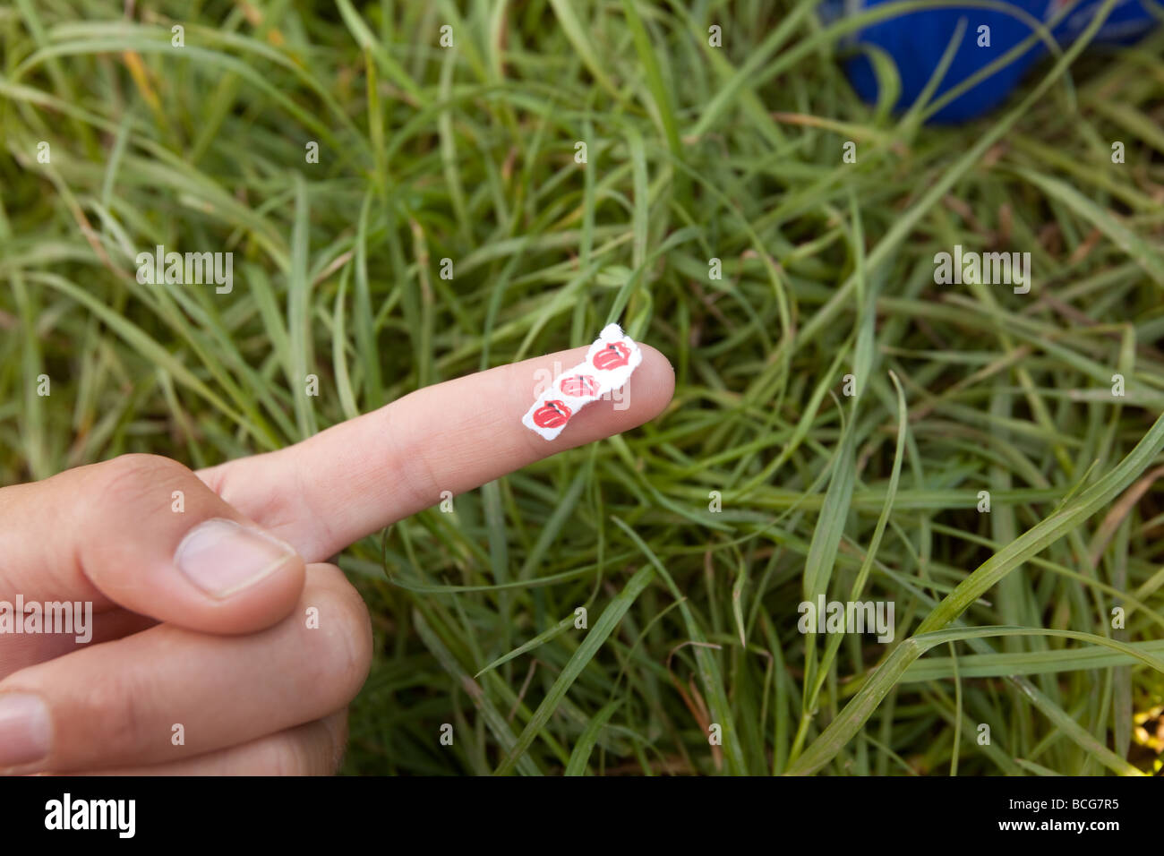 Säure-LSD löst oder laschen auf a bemannt den Finger Stockfoto