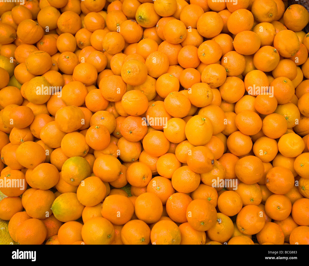 Marokkanische Orangen Stockfoto