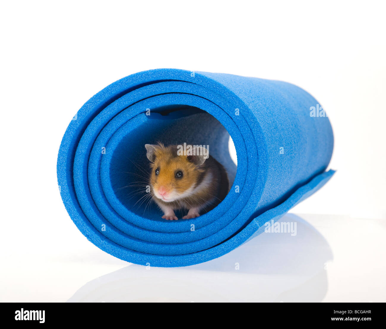 Dowman Neuware Hamster braun-weiß 16cm lang 