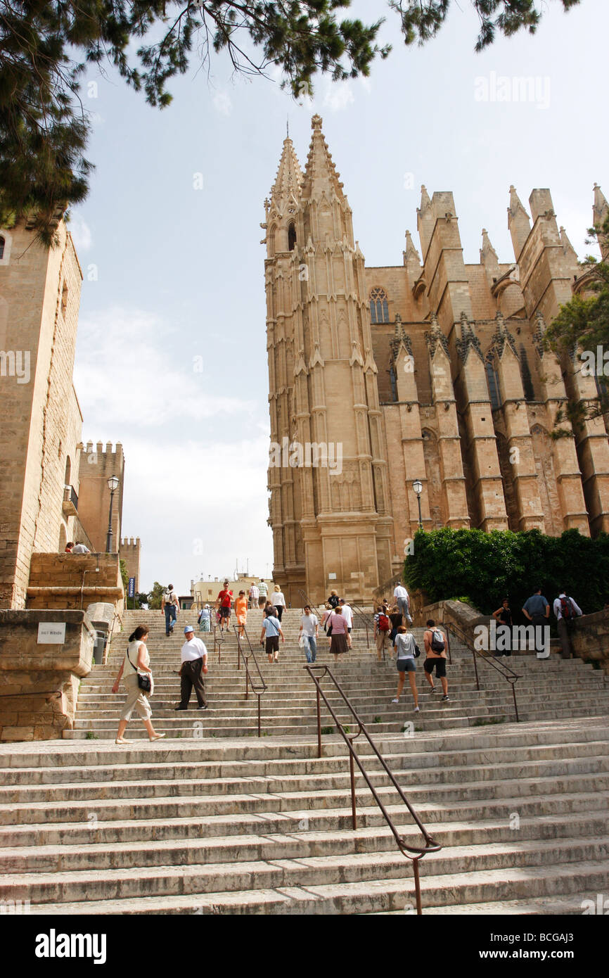 Schöne gotische Kathedrale in Palma, Spanien Stockfoto