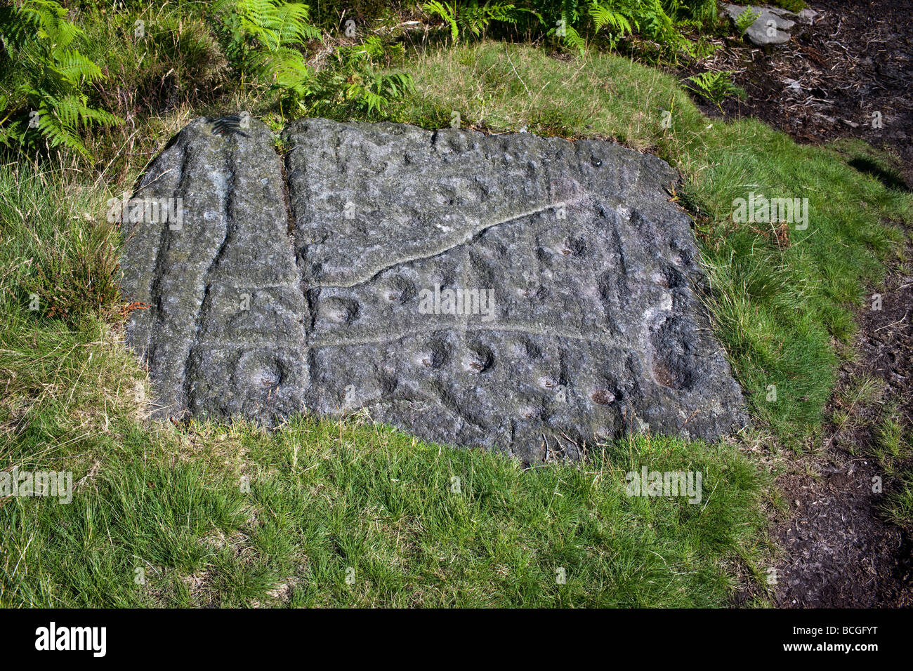 Prähistorische Felszeichnungen auf Ilkley Moor, Yorkshire UK Stockfoto