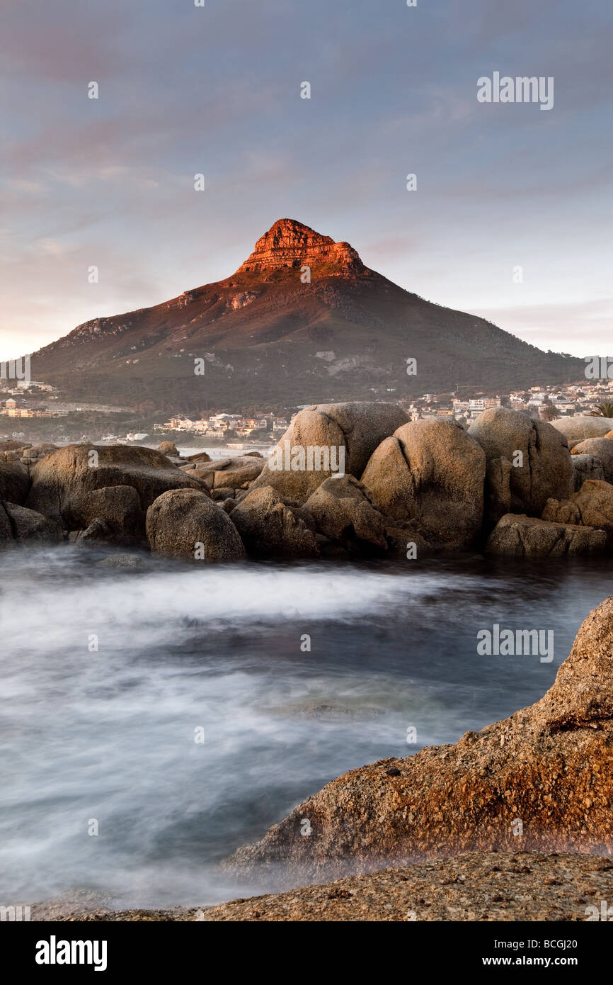 Löwenkopf des Löwen bei Sonnenuntergang, Kapstadt Südafrika Stockfoto