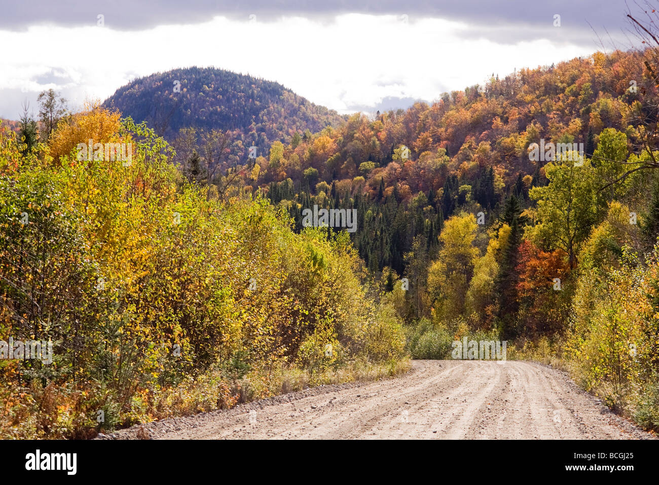 Straße. Herbstfärbung Farben des Herbstes. Gelbe und rote Blätter. Quebec Kanada. Stockfoto