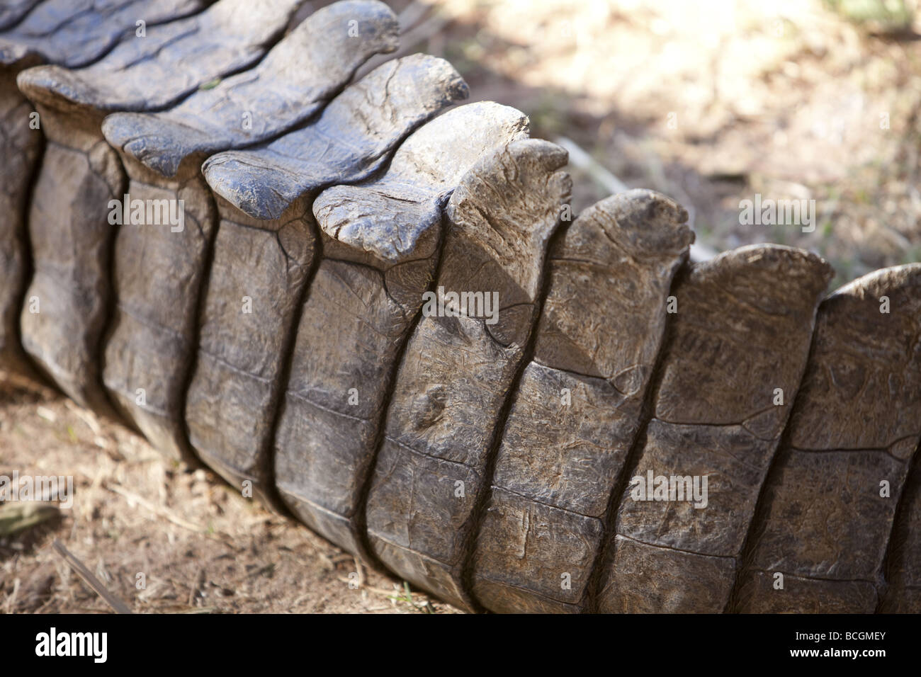 Schuss der Skalen auf einem Nil-Krokodil Tail hautnah Stockfoto