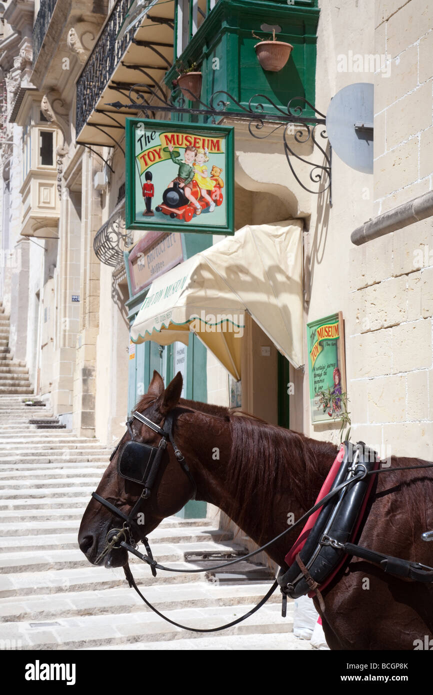 Ein Pferd und Wagen wartet draußen das Spielzeugmuseum, Valletta, Malta Stockfoto