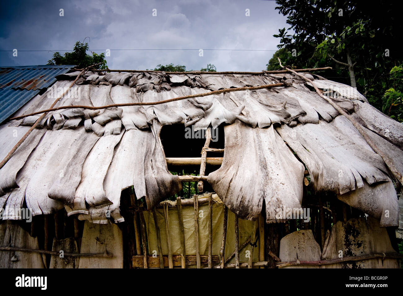 Das Dach eines Hauses aus Bambus Bltter Nagua Dominikanische Republik  gemacht Stockfotografie - Alamy