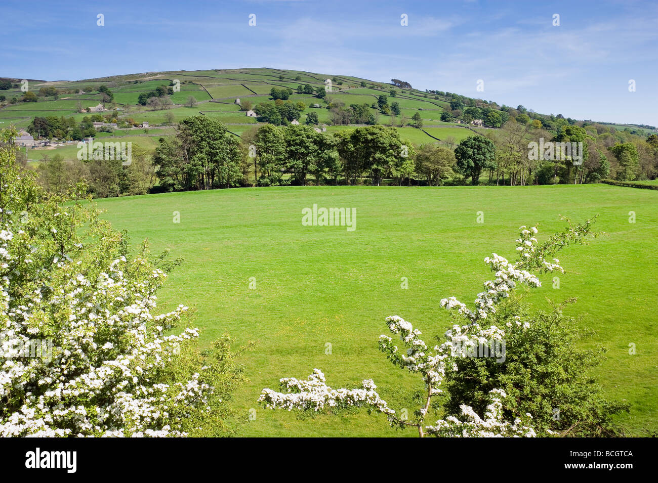 Blick über Nidderdale Tal in den Yorkshire Dales England Stockfoto