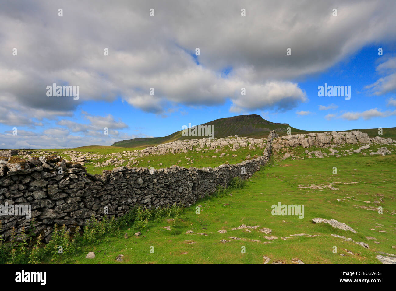 Kalkstein Bürgersteig und Pen-y-Gent, Yorkshire Dales National Park, North Yorkshire, England, UK. Stockfoto