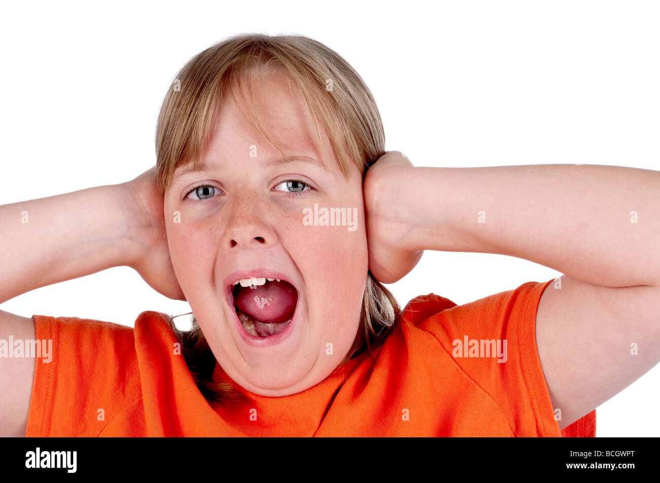 Ein horizontales Bild von einem jungen Mädchen schreien und für ihre Ohren auf weiß Stockfoto