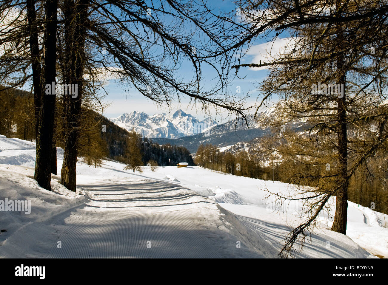 Sämischleder Aosta Italien Stockfoto
