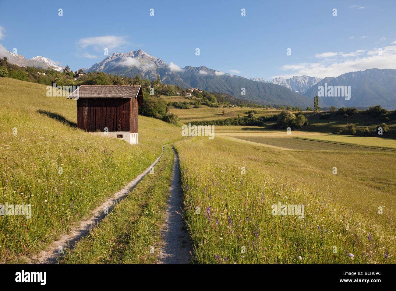 Imst Tirol Österreich Europa. Track und Scheune in Sommer alpinen Blumenwiesen im grünen Tal in den frühen Morgenstunden Stockfoto