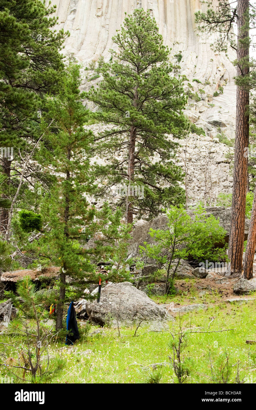 Gebet-Tücher auf den Bäumen am Devils Tower National Monument in Wyoming Stockfoto