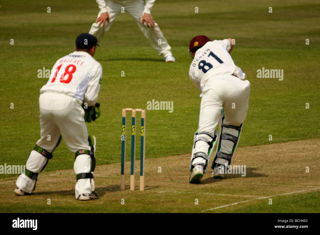 Niall O'Brien Wimper für Northants V Glamorgan County Championship in St. Helens, Swansea. Wicketkeeper ist Mark Wallace Stockfoto