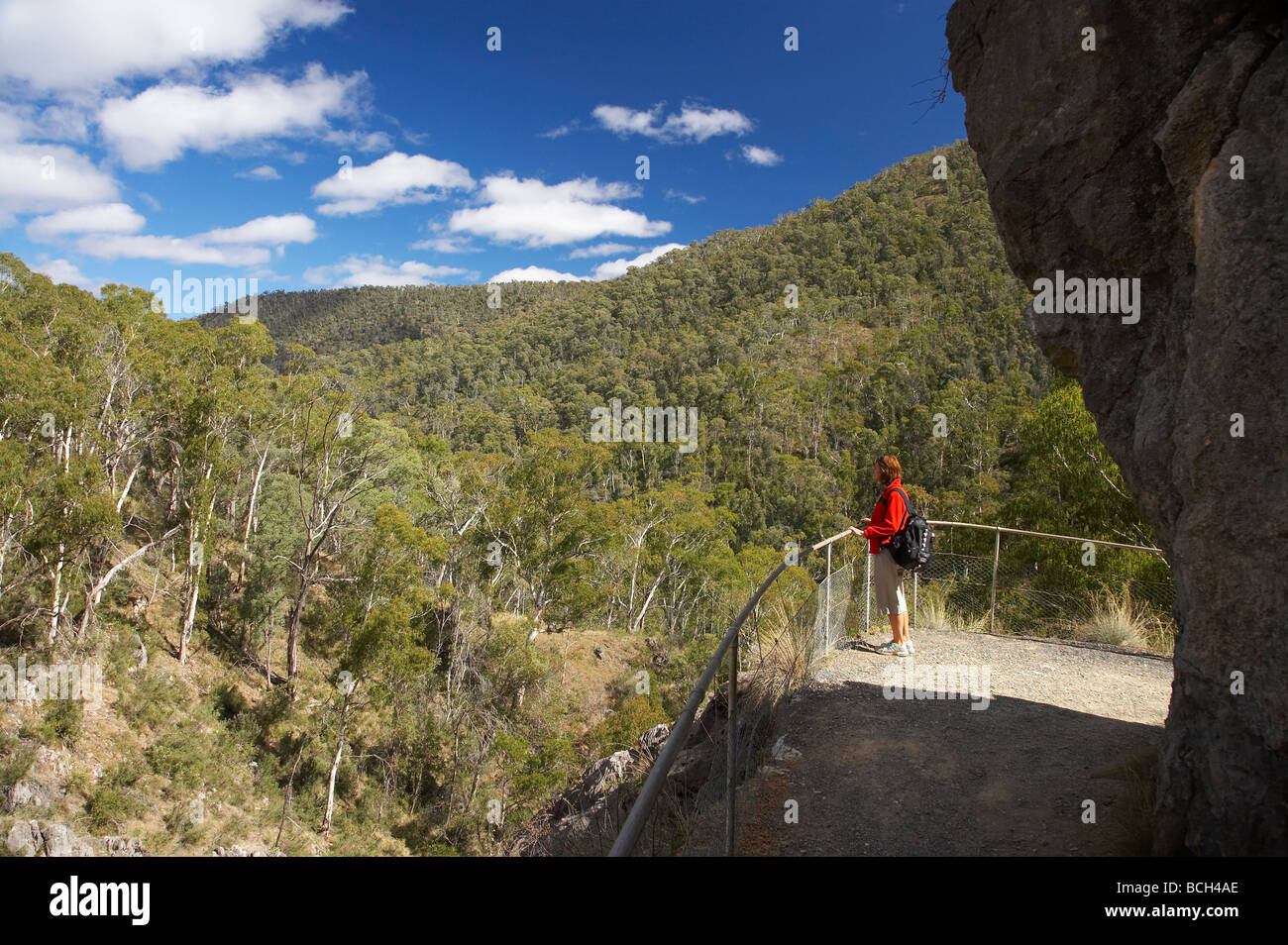 Für Süden Ruhm Höhle Yarrangobilly Höhlen Kosciuszko National Park Snowy Mountains, New South Wales Australien verfolgen Stockfoto