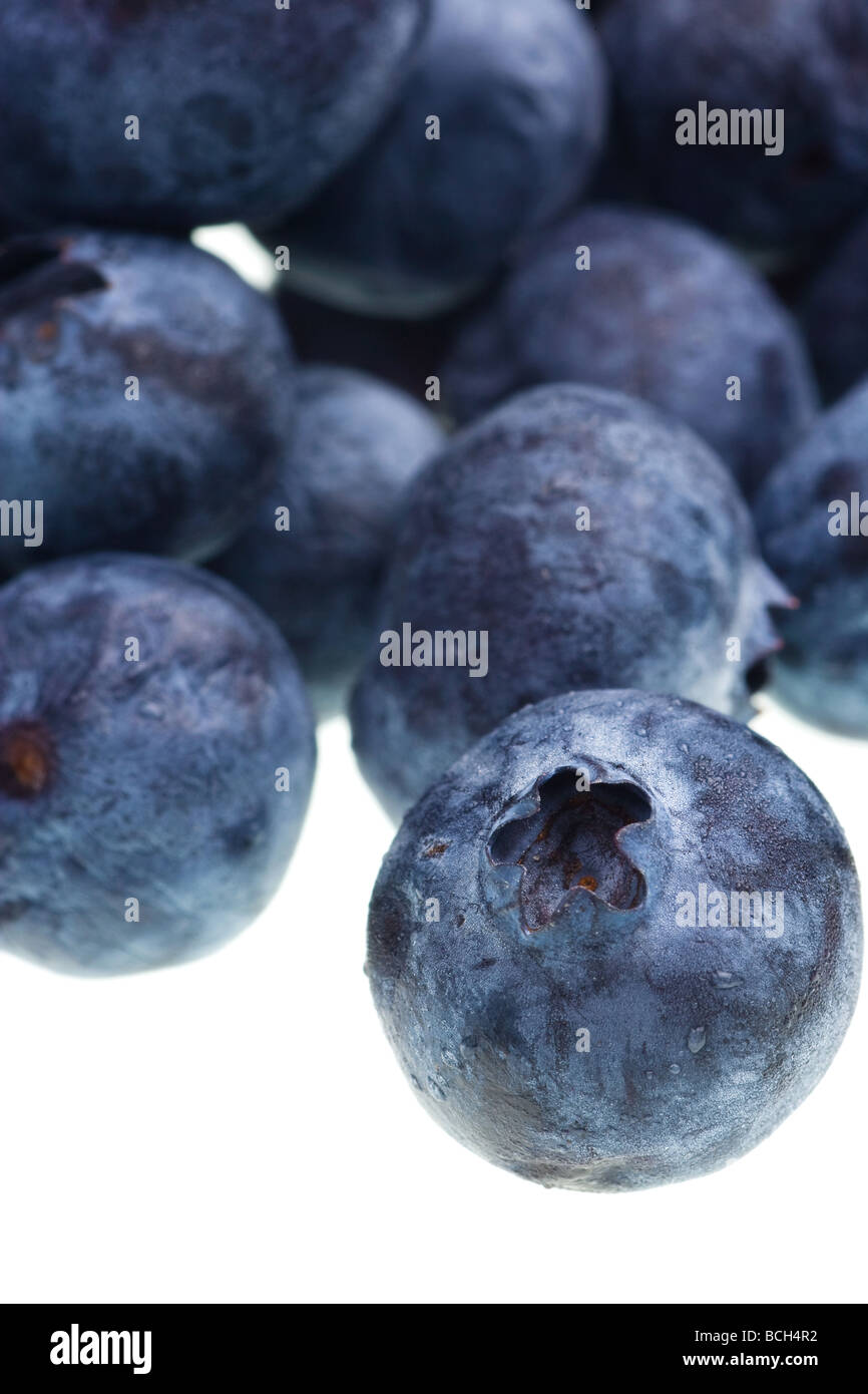 frische Heidelbeeren isoliert auf weißem Hintergrund Stockfoto