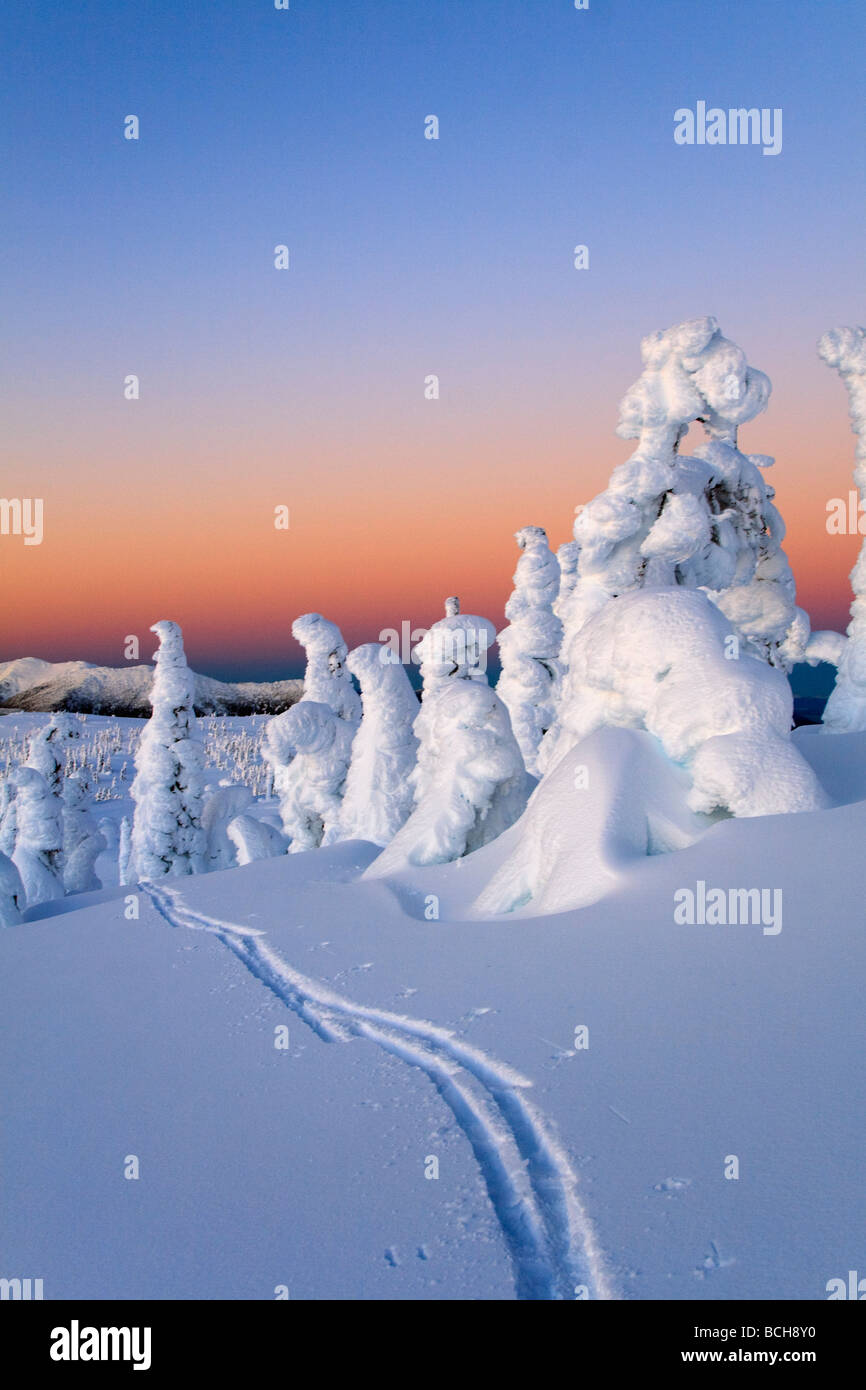 Malerischen Sonnenaufgang im Winter mit Ski Tracks im Vordergrund Wrangell Island südöstlich Alaska Stockfoto