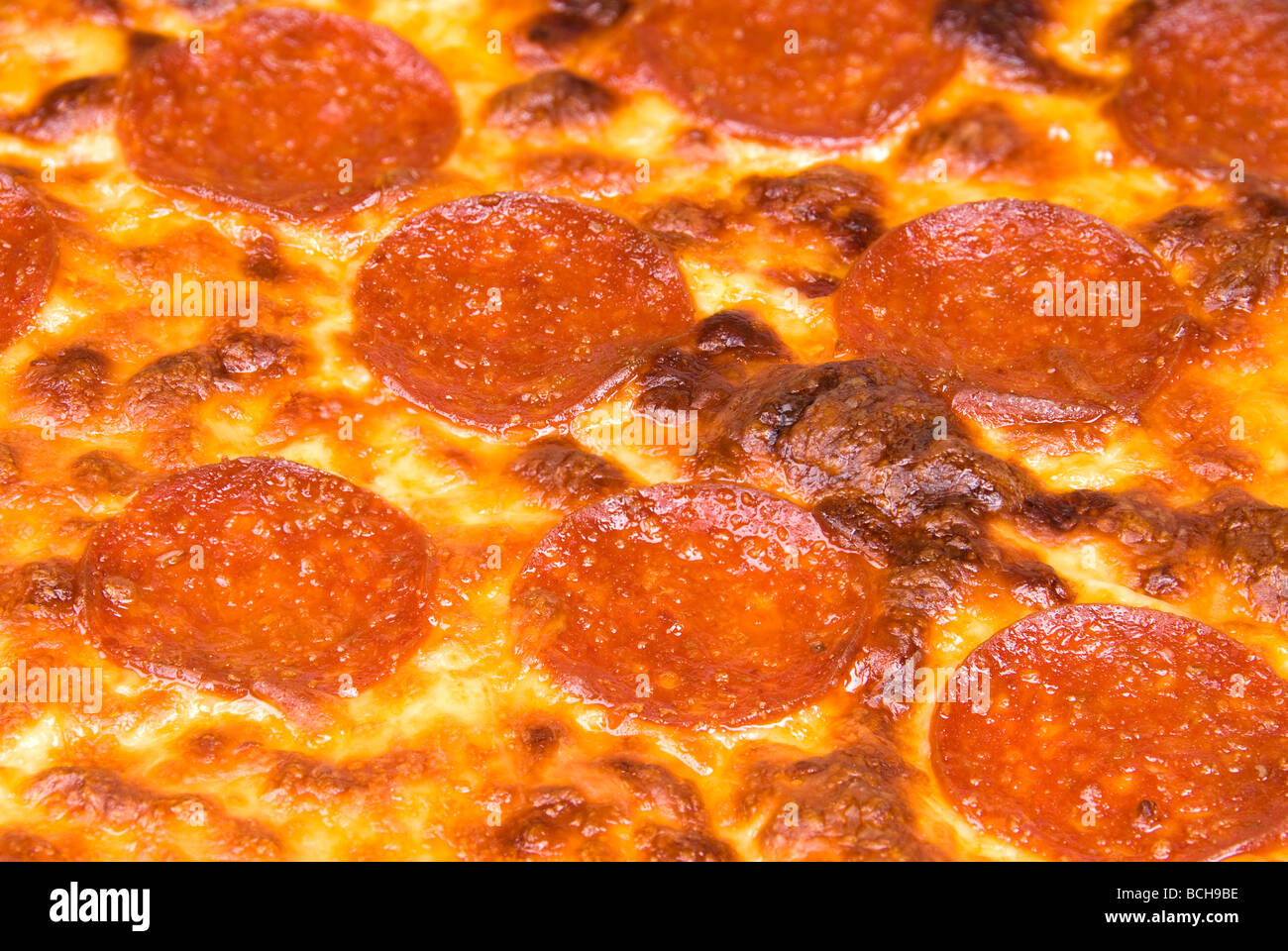 Eine Nahaufnahme von einem Peperoni-Pizza mit Mozzarella und Cheddar Käse Stockfoto
