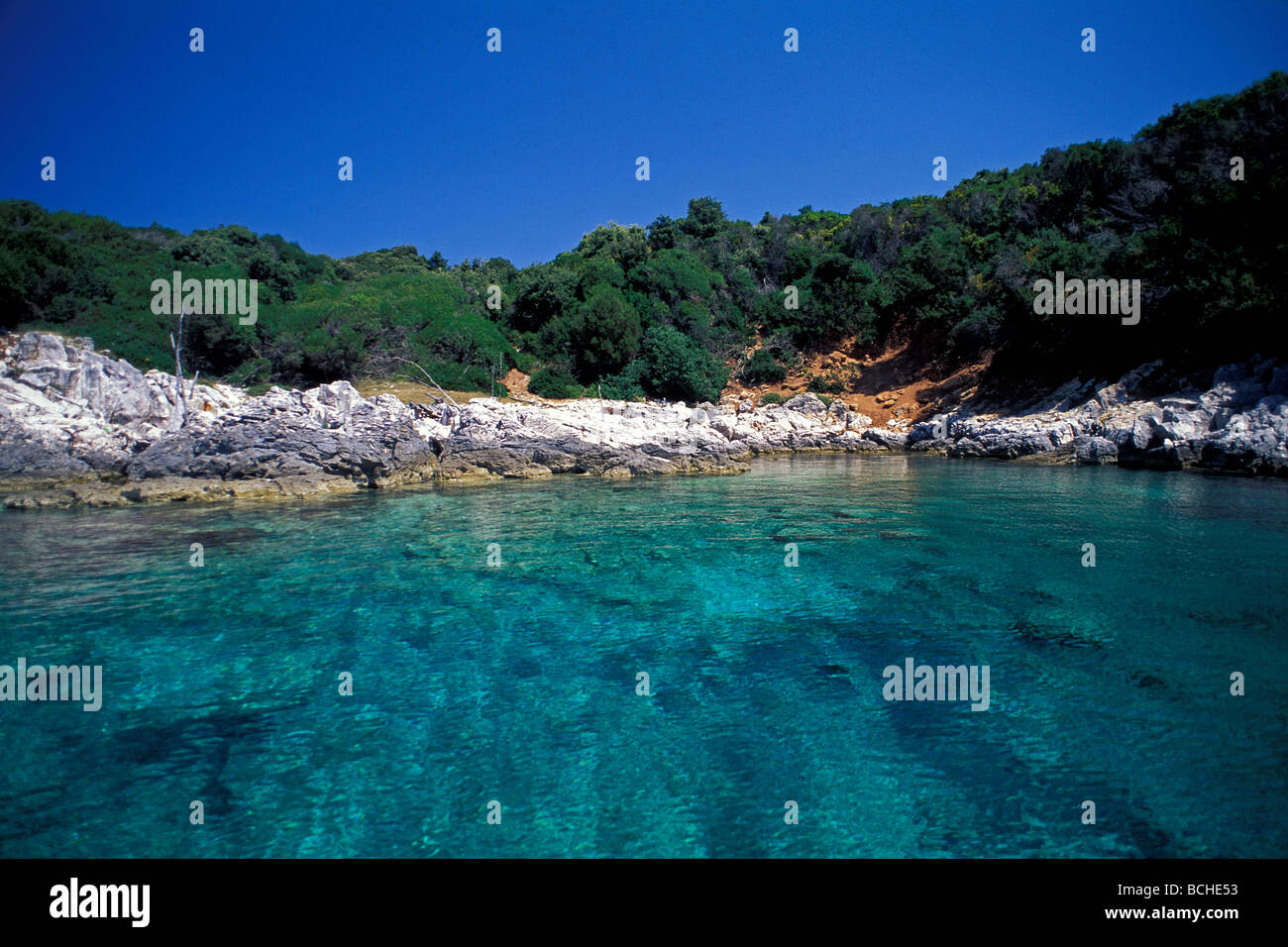 Bucht in der Nähe von Vela Luka auf Korcula Insel Korcula Insel Dalmatien Adria Kroatien Stockfoto