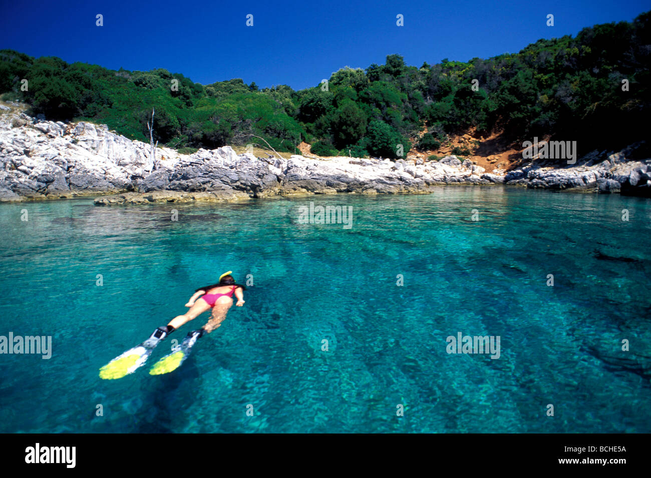 Schnorcheln in der Nähe von Vela Luka Korcula Insel Dalmatien Adria Kroatien Stockfoto