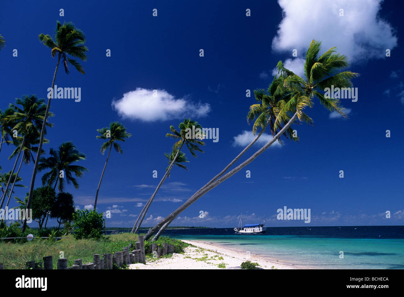 Strand von Wakatobi Celebes Indopazifik Indonesien Stockfoto