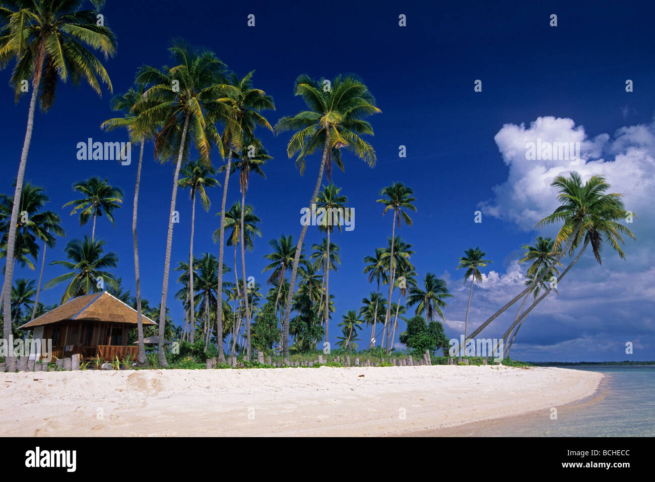 Strand von Wakatobi Celebes Indopazifik Indonesien Stockfoto