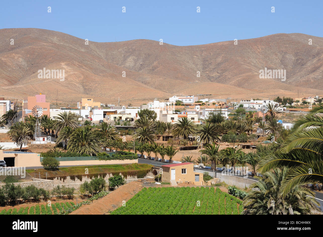 Stadt Antigua, Kanarischen Insel Fuerteventura, Spanien Stockfoto
