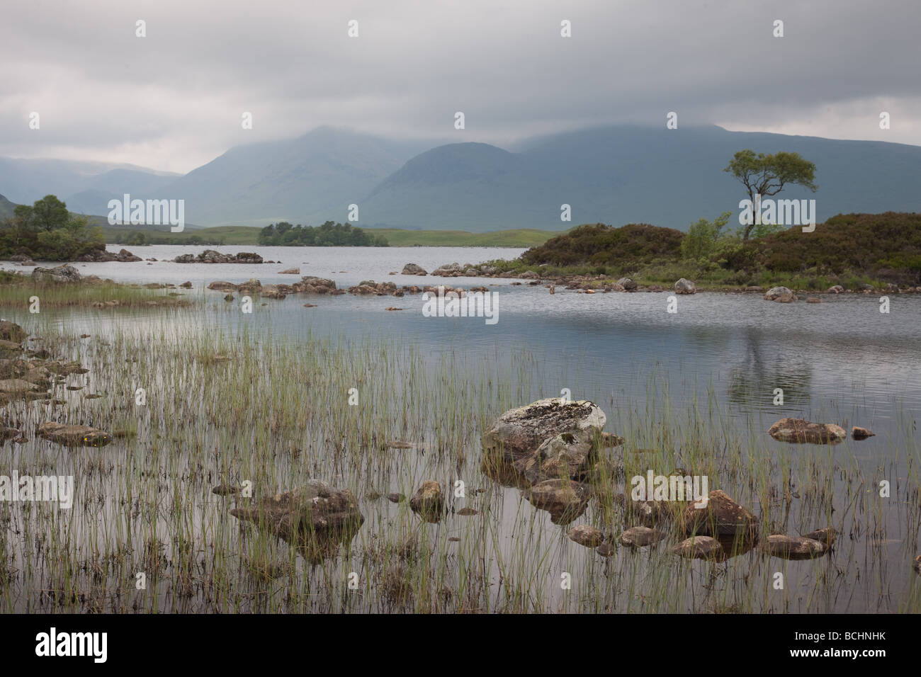 Man Na Achlaise, Rannoch Moor, Schottland Stockfoto