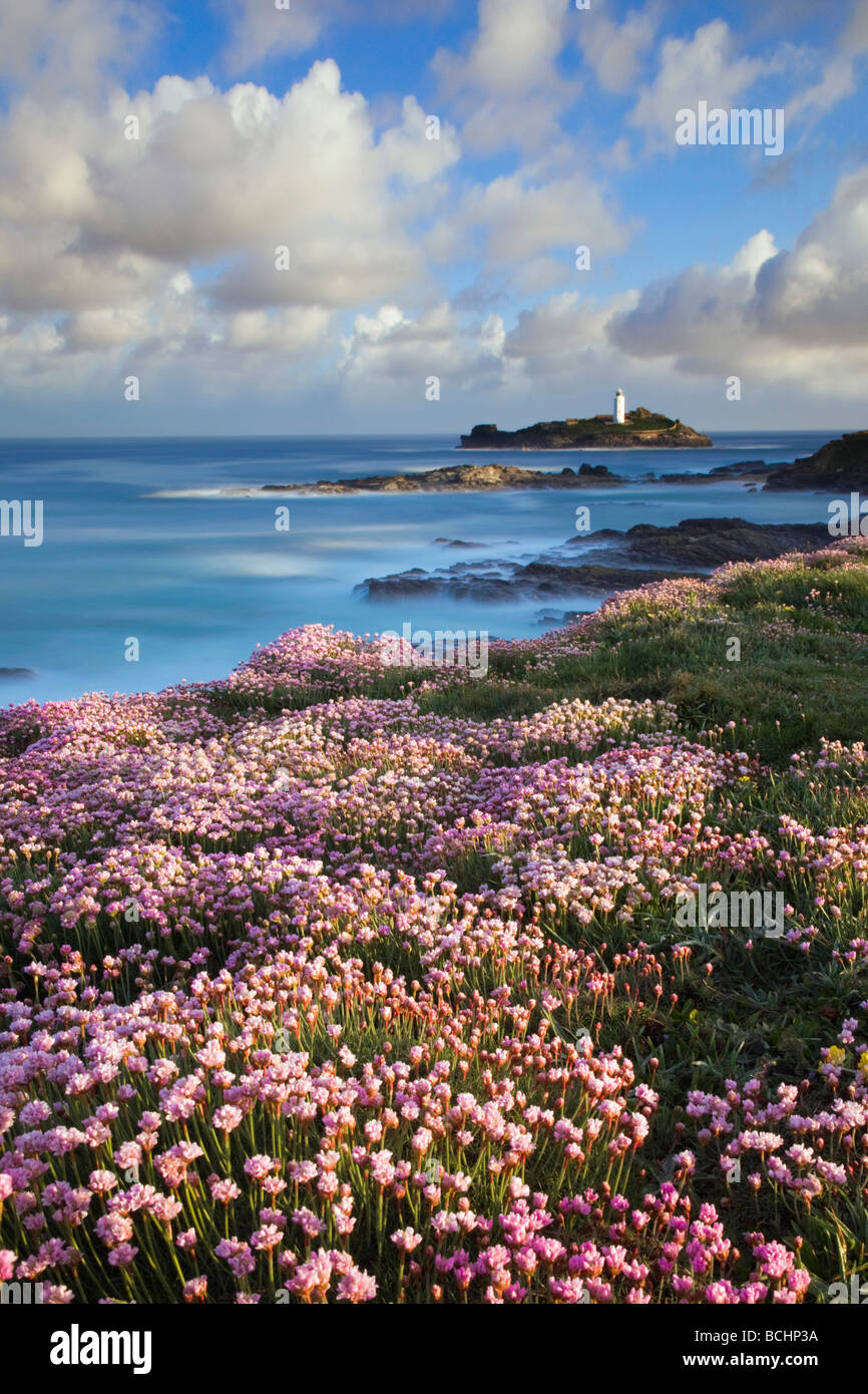 Godrevy Leuchtturm mit Sparsamkeit im Vordergrund cornwall Stockfoto