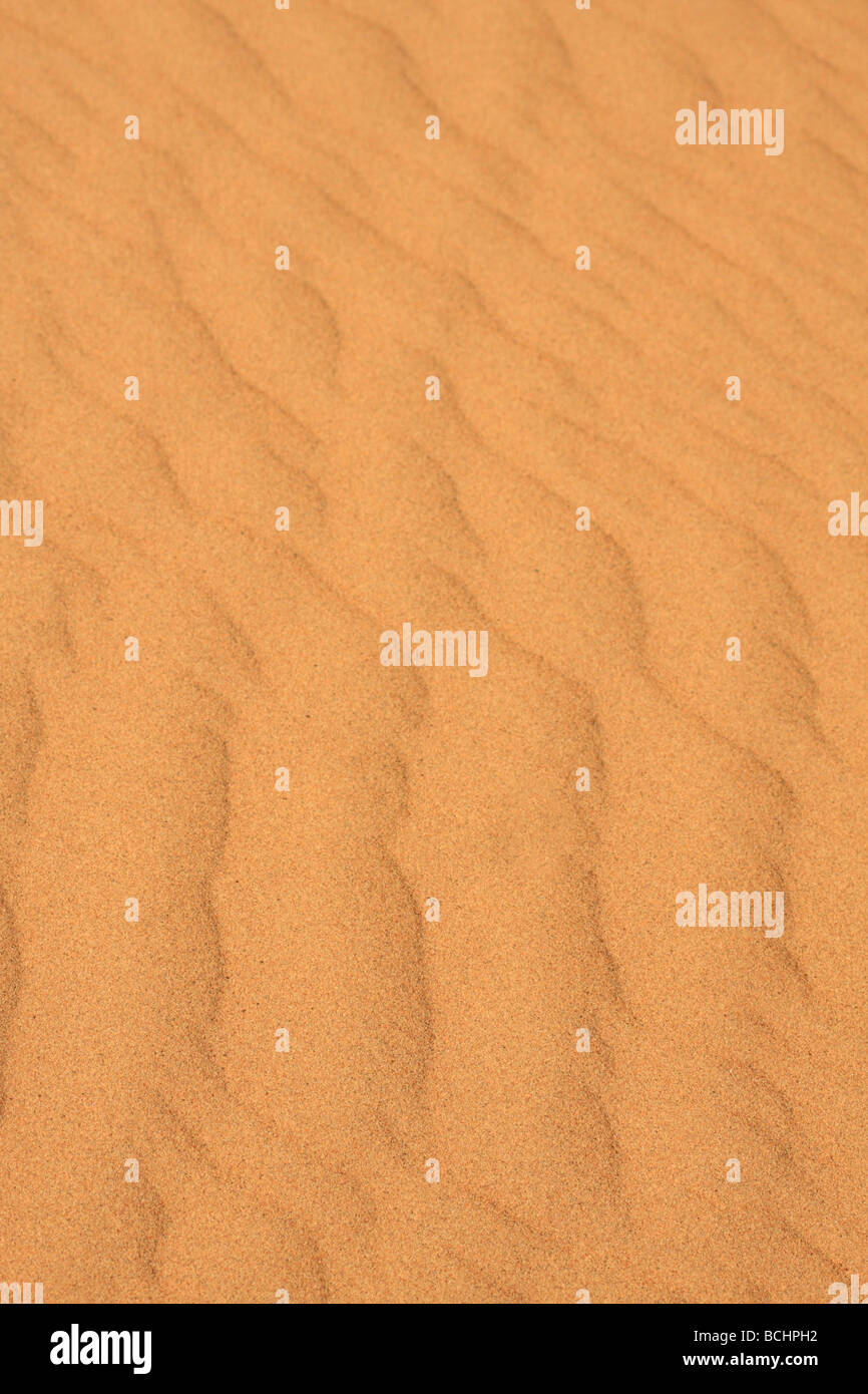 Detail der Muster, die durch Windbewegungen über den Erg Chebbi Sanddünen, Wüste Sahara, Merzouga, Marokko, Nordafrika Stockfoto