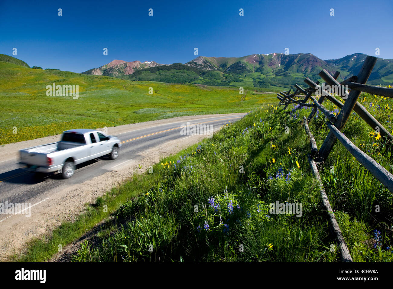 Ein Split Rail Zaun Wildblumen Mule s Ohren Lupine und blauer Flachs säumen Gothic Road in der Nähe von Mount Crested Butte Colorado USA Stockfoto