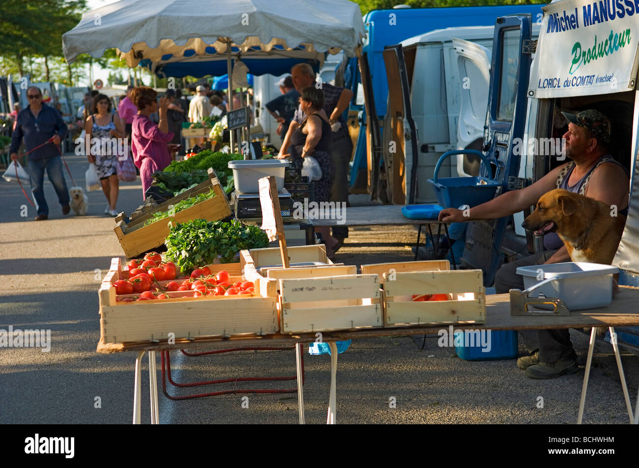 Ein Gemüsemarkt Händler sitzt mit seinem Hund auf der Rückseite ein van. Bauernmarkt in Velleron, Provence, Südfrankreich. Europa Stockfoto