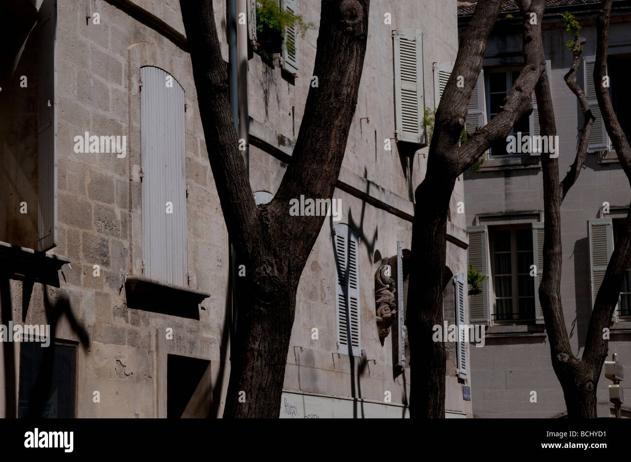 Häuser und Bäume Avignon Frankreich Stockfoto