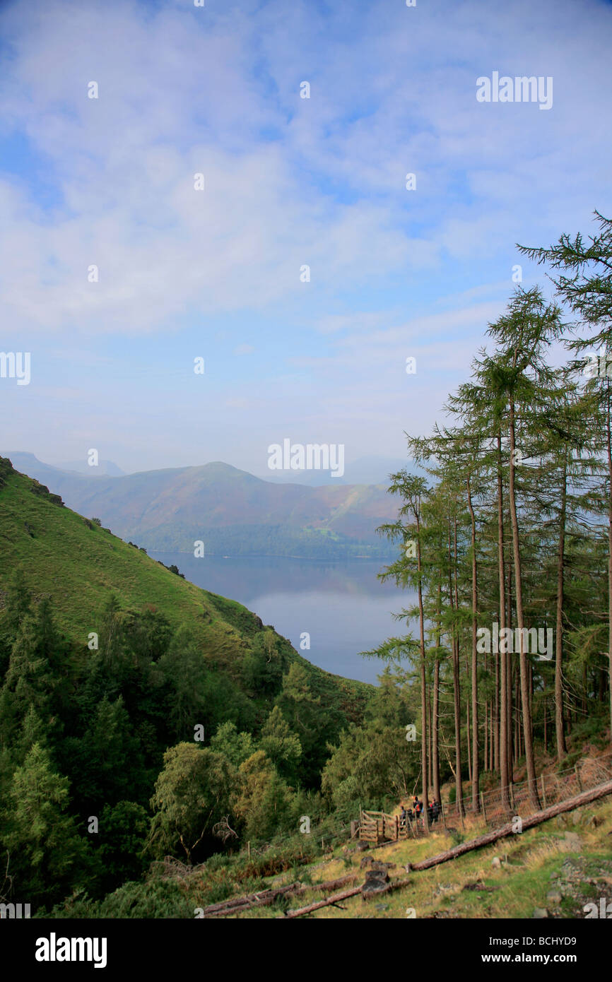 Neblige Sicht auf Katze Glocken fielen Derwentwater Lake District National Park Cumbria County England UK Stockfoto