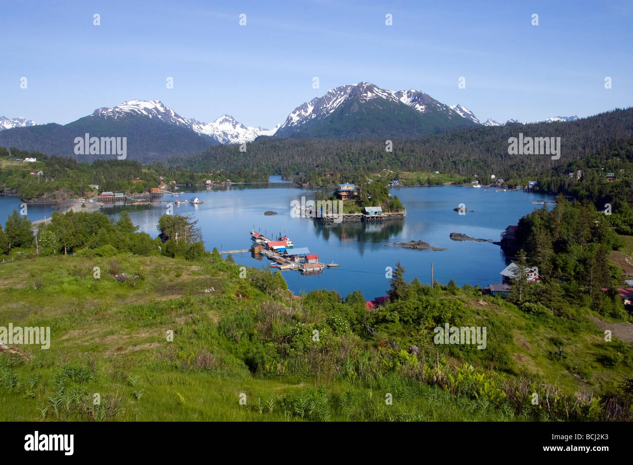 Halibut Cove in Kachemak Bay gegenüber Homer, Alaska im Sommer Stockfoto
