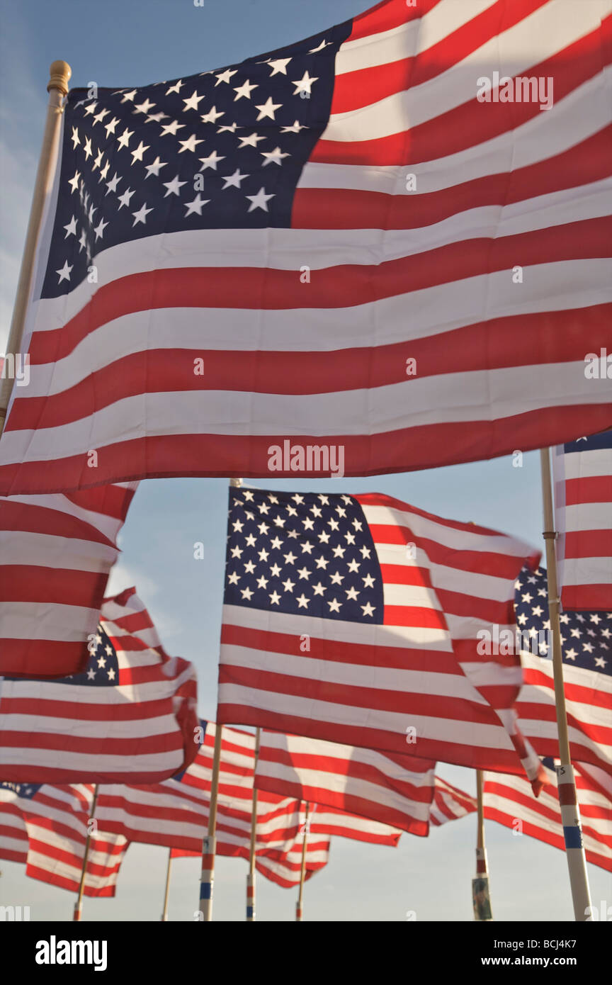 Mehrere amerikanische Flaggen im Wind, USA Stockfoto