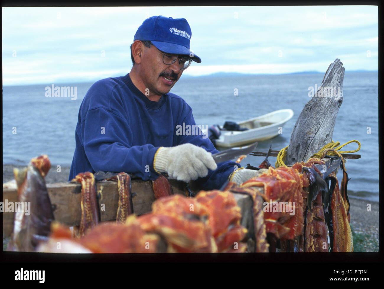 Native Mann Zubereitung von Fisch Kotzebue Western AK Sommer Porträt Stockfoto