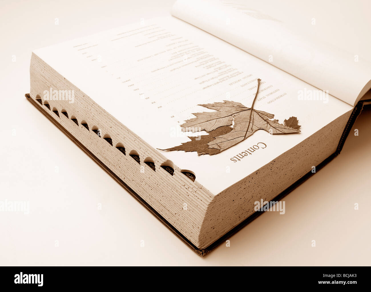 altes Buch Stockfoto