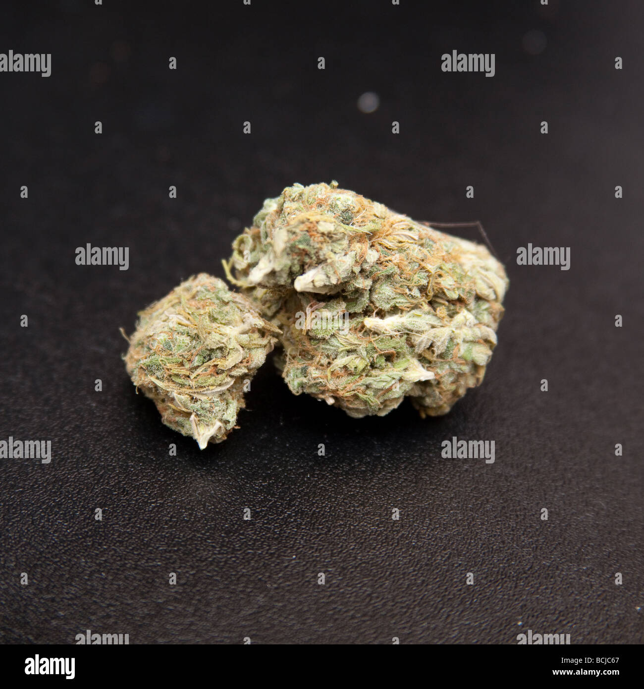 Ein kleines Stück pflanzliche Marihuana oder Skunk Unkraut Stockfoto