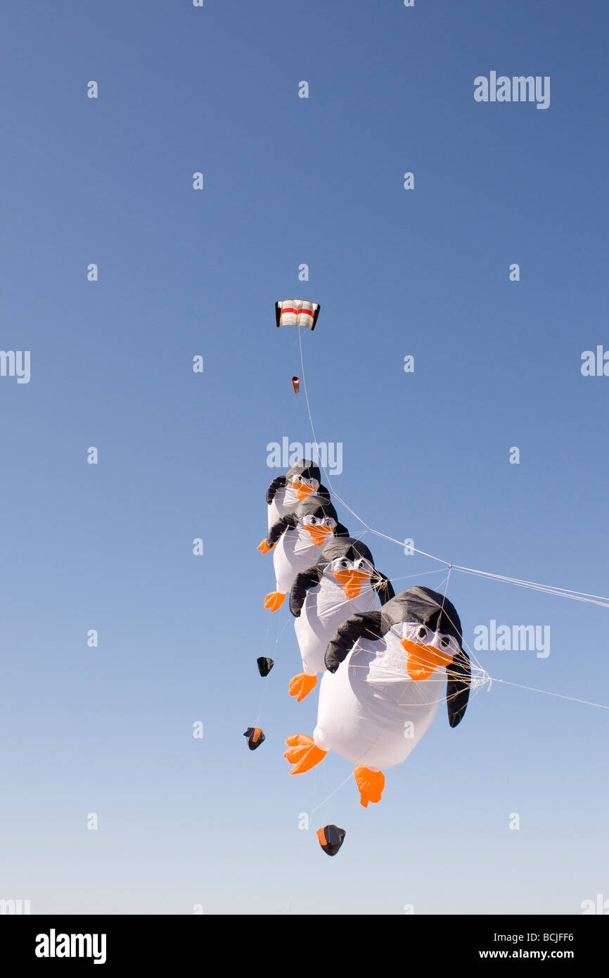 Pinguin-kite Stockfoto