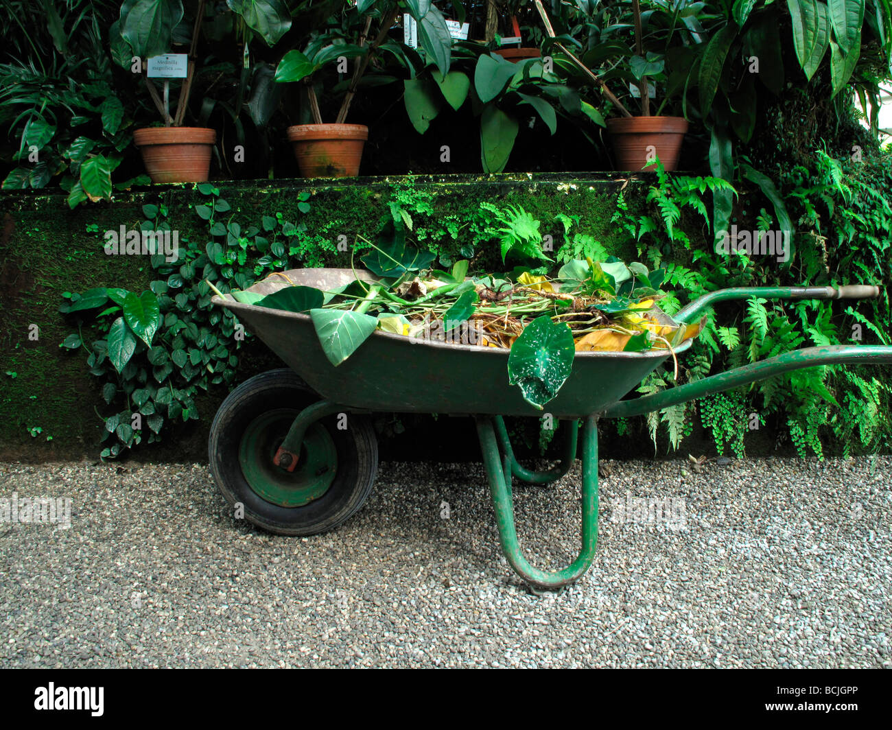 Metall Karren für Gartenarbeit Botanischer Garten München April 09 Stockfoto