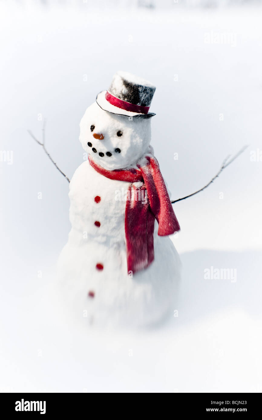 Porträt von Schneemann mit rotem Schal und schwarzem Hut, winter Stockfoto