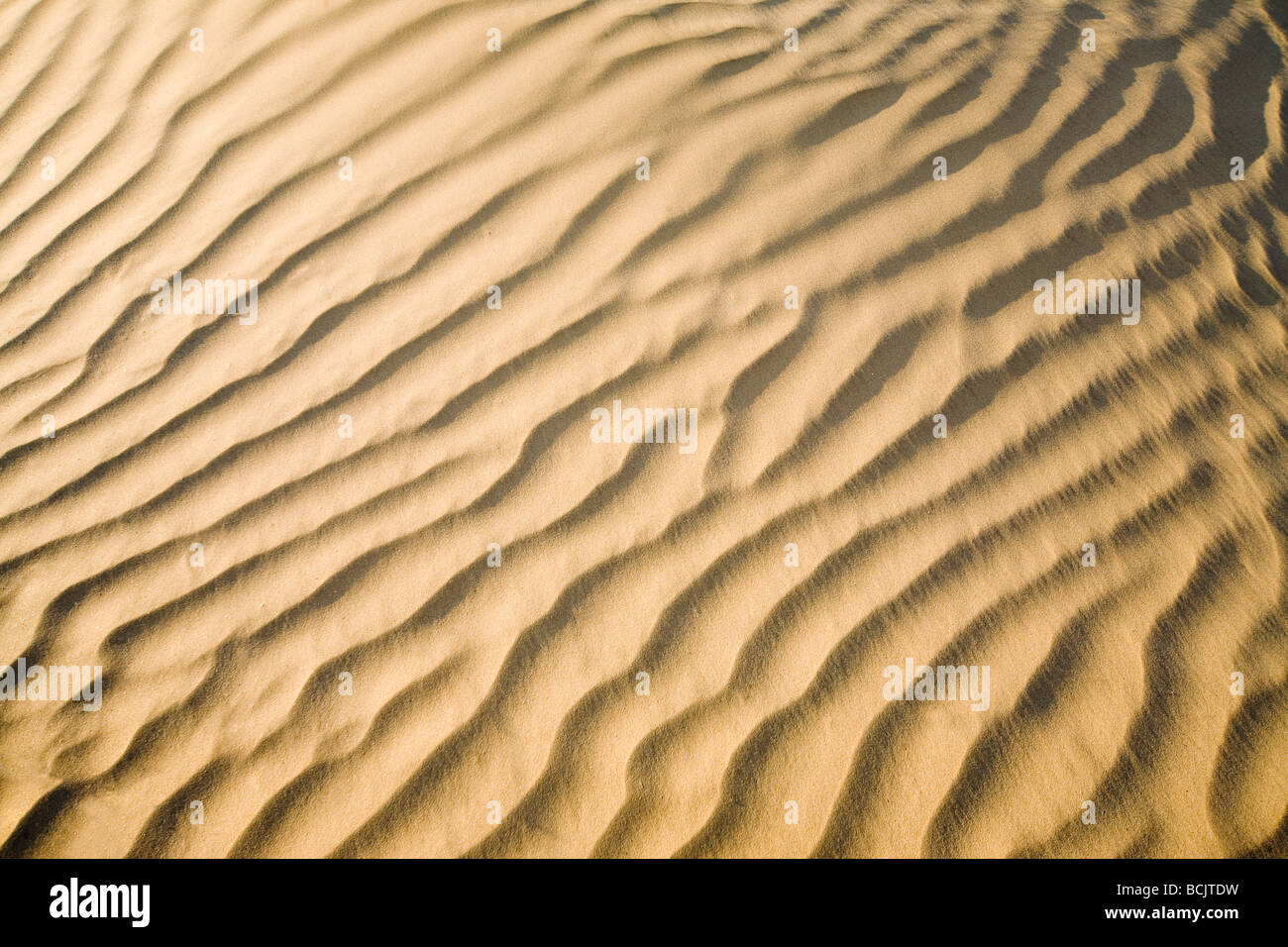 Kräuselt sich Sand in der Wüste Stockfoto