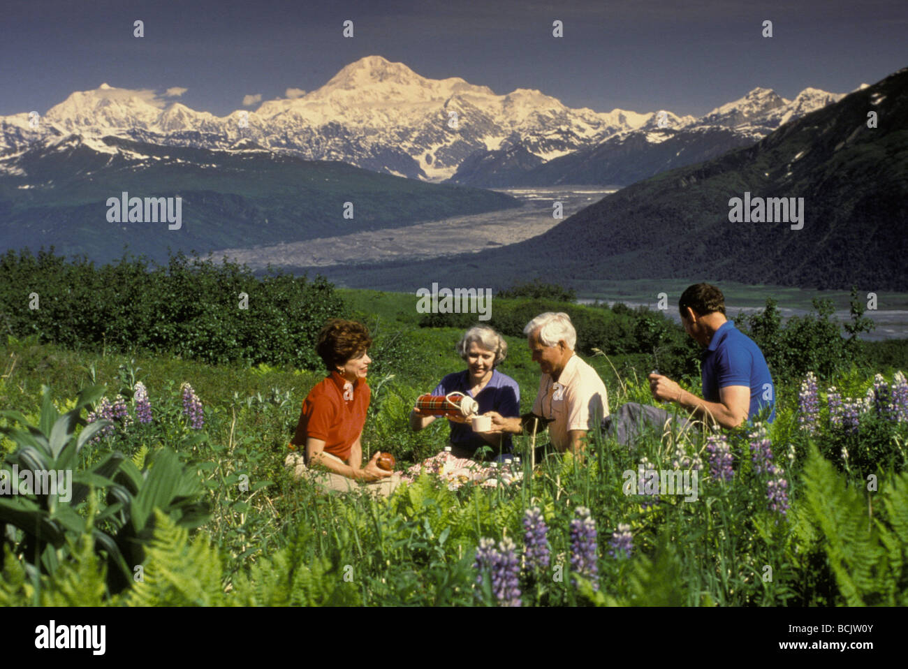 Menschen picknicken Matanuska Valley Mt McKinley SC AK Sommer malerische Stockfoto