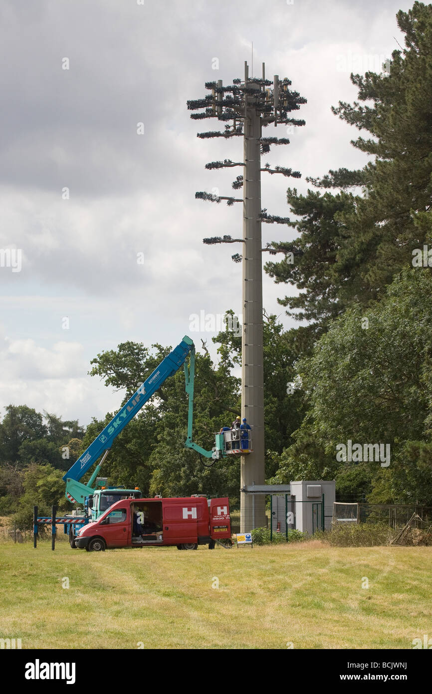 Arbeitnehmer, die Durchführung von Wartungsarbeiten an einem Handy-Mast, getarnt als einen Baum, um die Mischung in die Landschaft Stockfoto