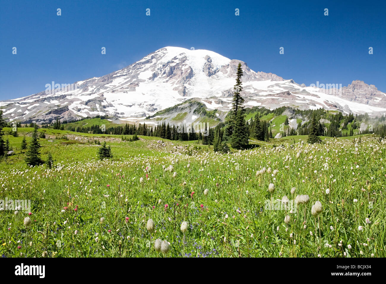 Mount Rainier Stockfoto