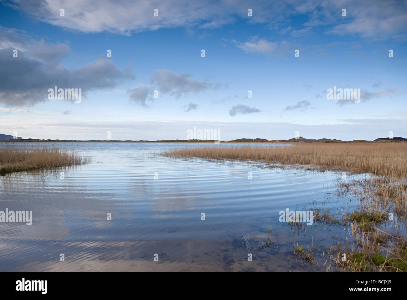 Tralee county kerry ireland Fotos und Bildmaterial in hoher Auflösung