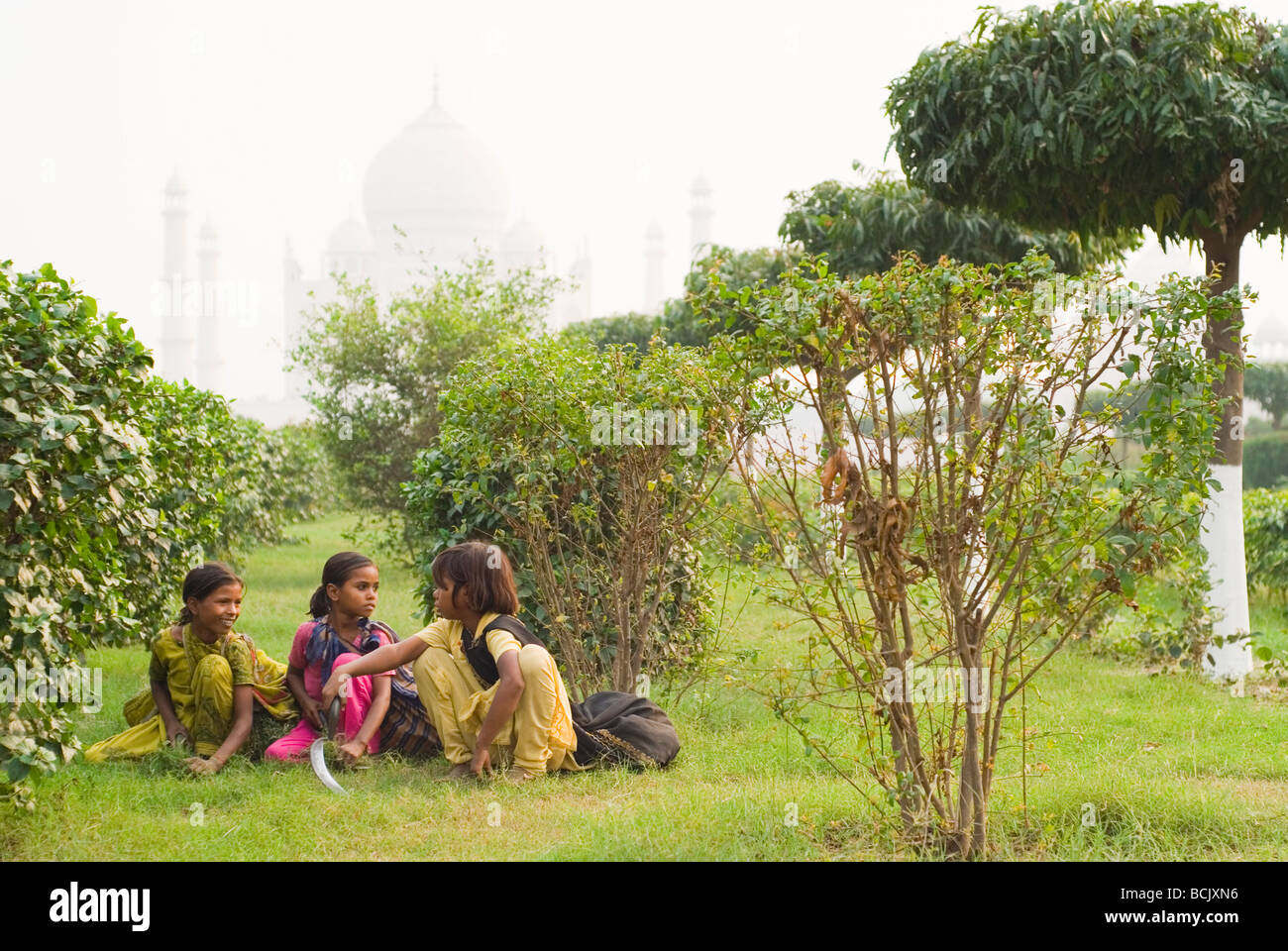 Gebürtige Inderinnen arbeitest du Mehtab Bagh (Moonlight Garden), über den Fluss Yamuna aus dem berühmten Taj Mahal Palast. Stockfoto