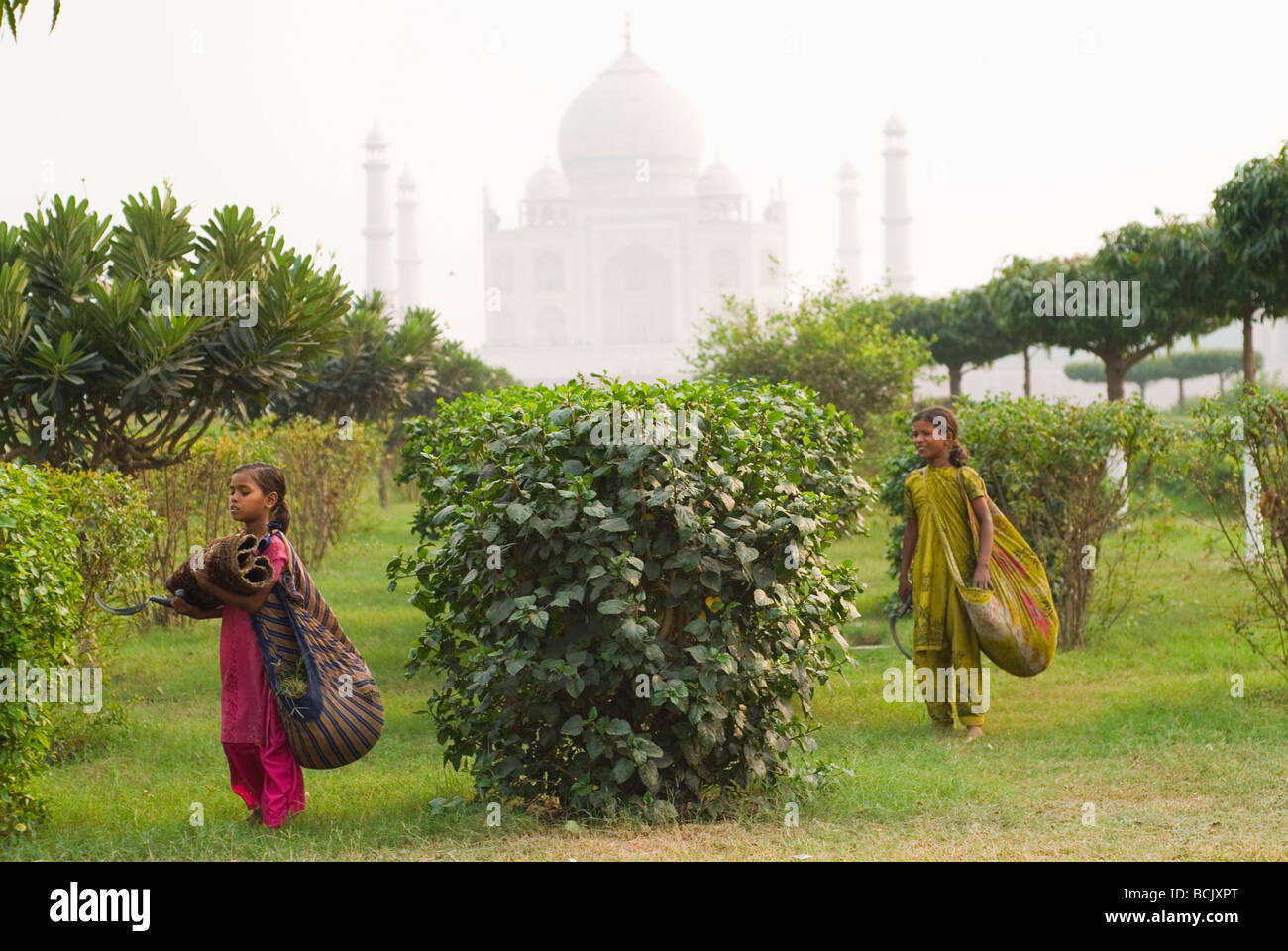 Gebürtige Inderinnen arbeitest du Mehtab Bagh (Moonlight Garden), über den Fluss Yamuna aus dem berühmten Taj Mahal Palast. Stockfoto