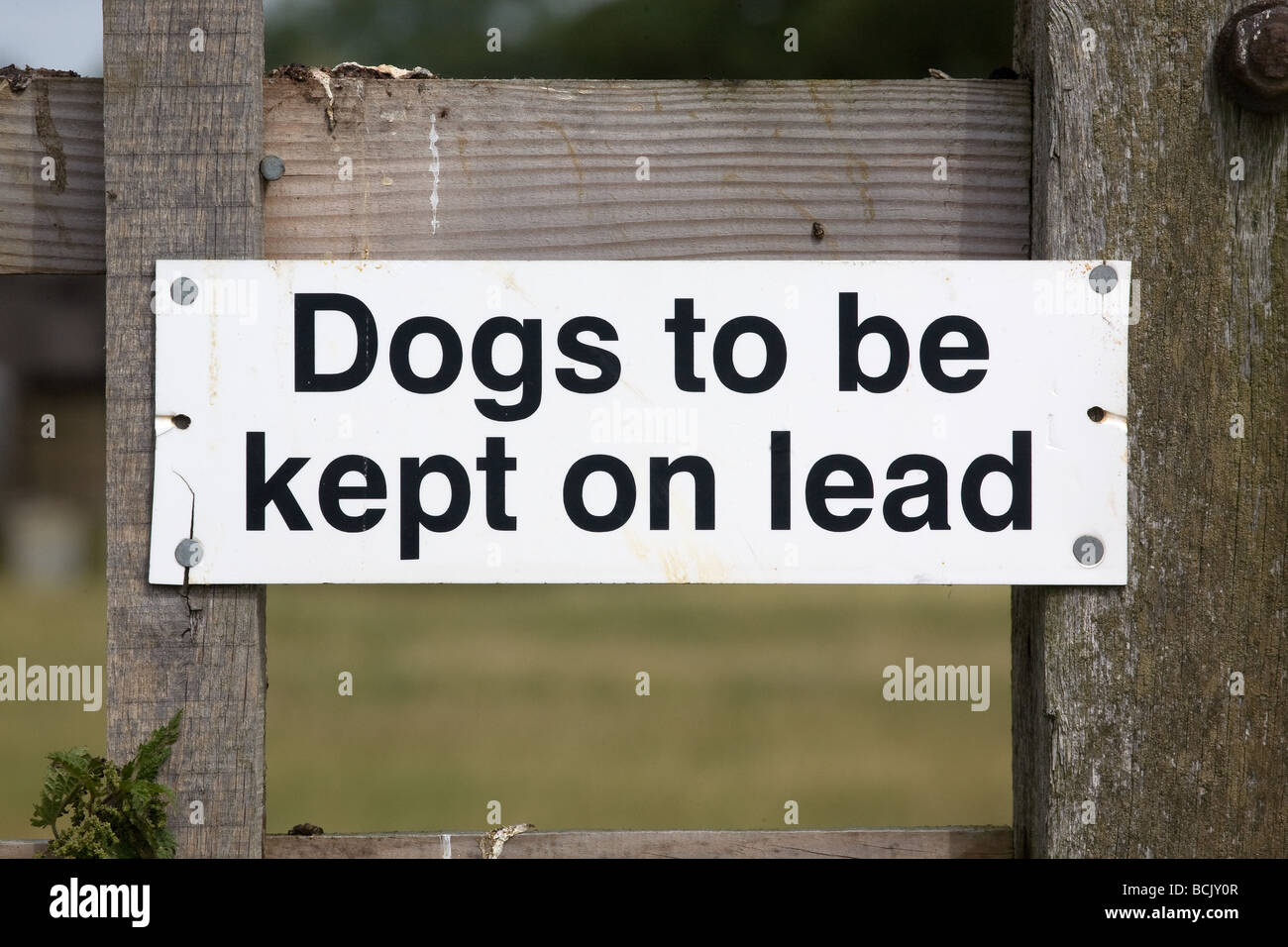 Hunde an der Leine gehalten werden melden Sie auf einem öffentlichen Wanderweg Stockfoto